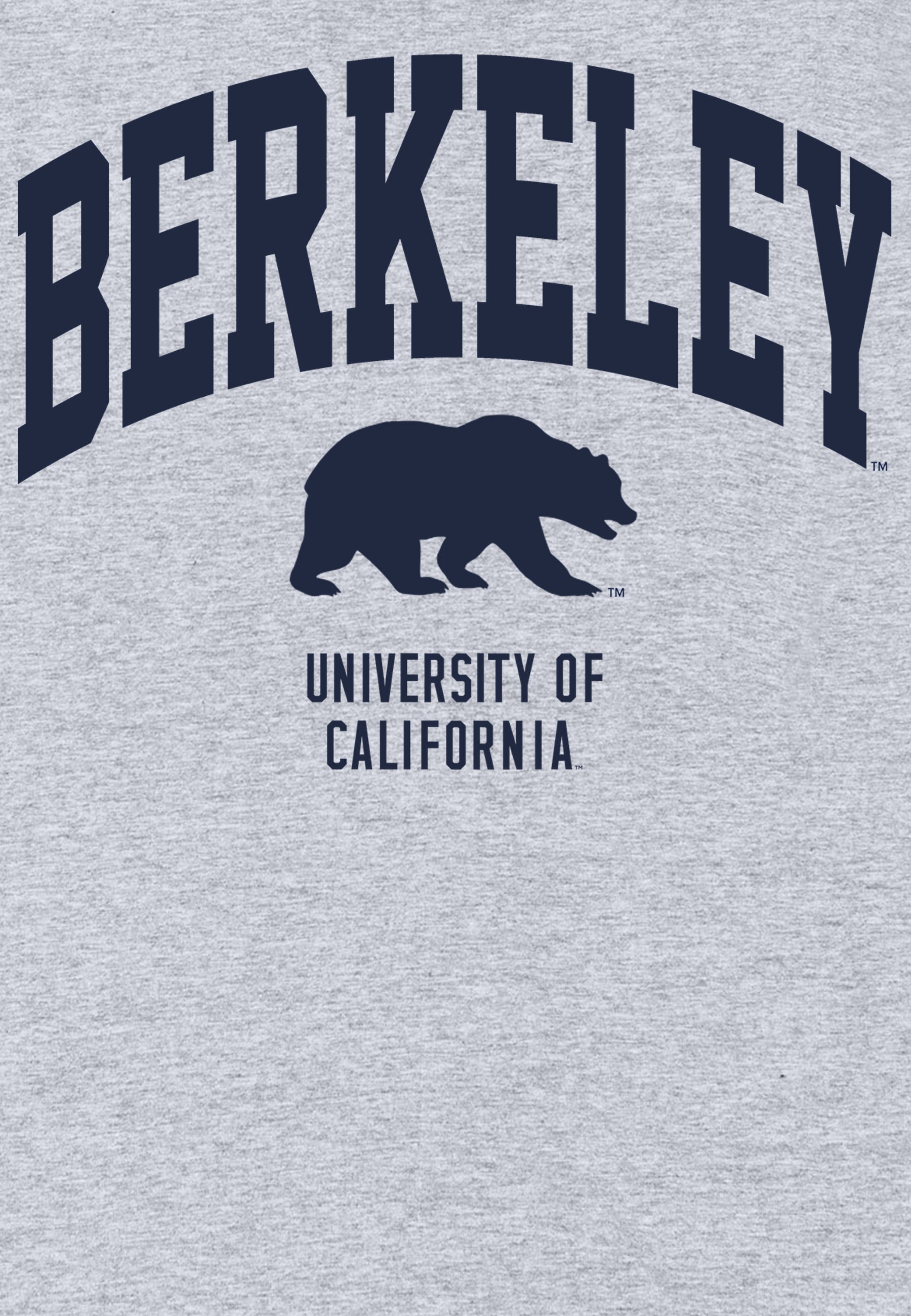 Park Fields Mikina (Berkeley Bear)