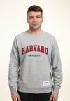 Park Fields - Harvard Universität Skript Unisex Sweatshirt