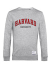 Park Fields - Harvard Universität Skript Unisex Sweatshirt