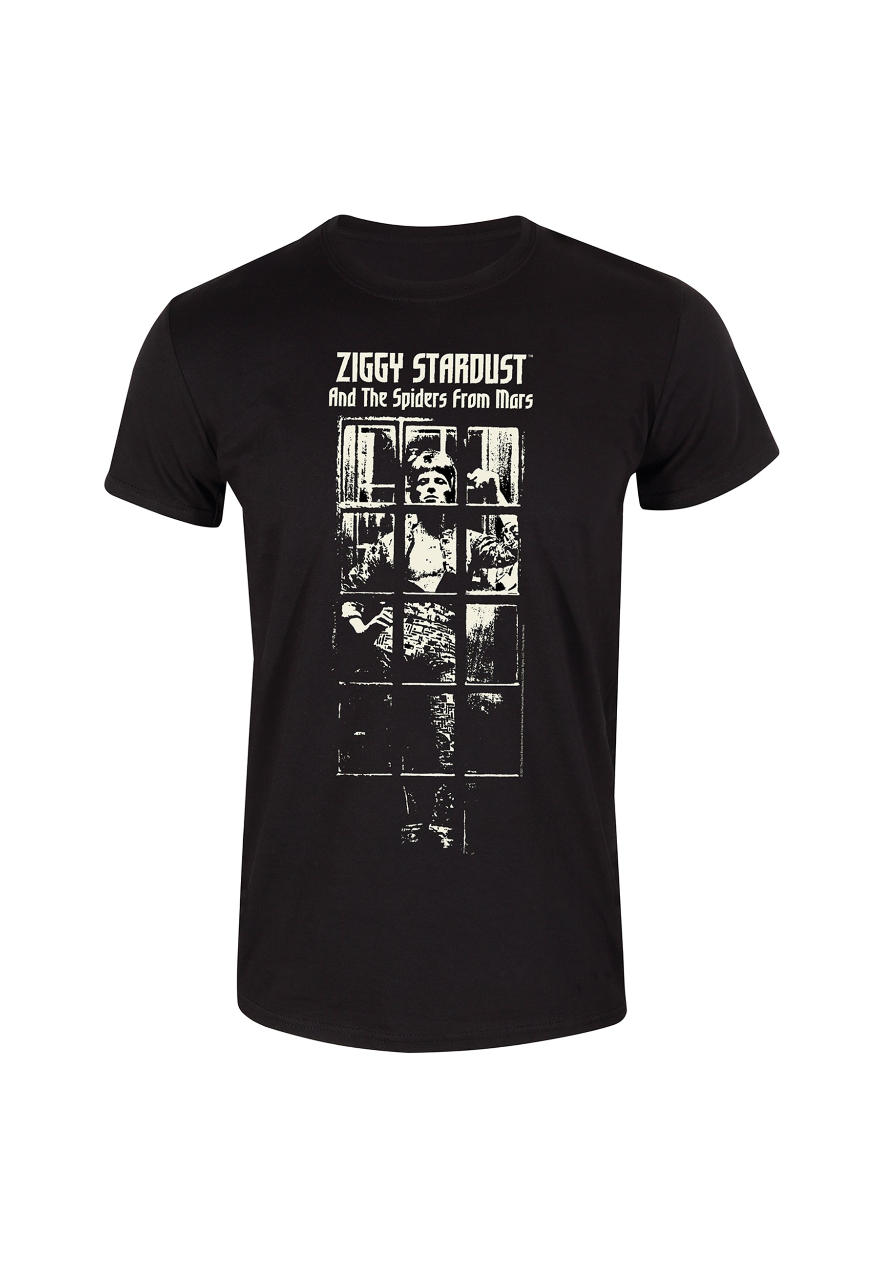 David Bowie-T-Shirt (Ziggy Stardust-T-Shirt)