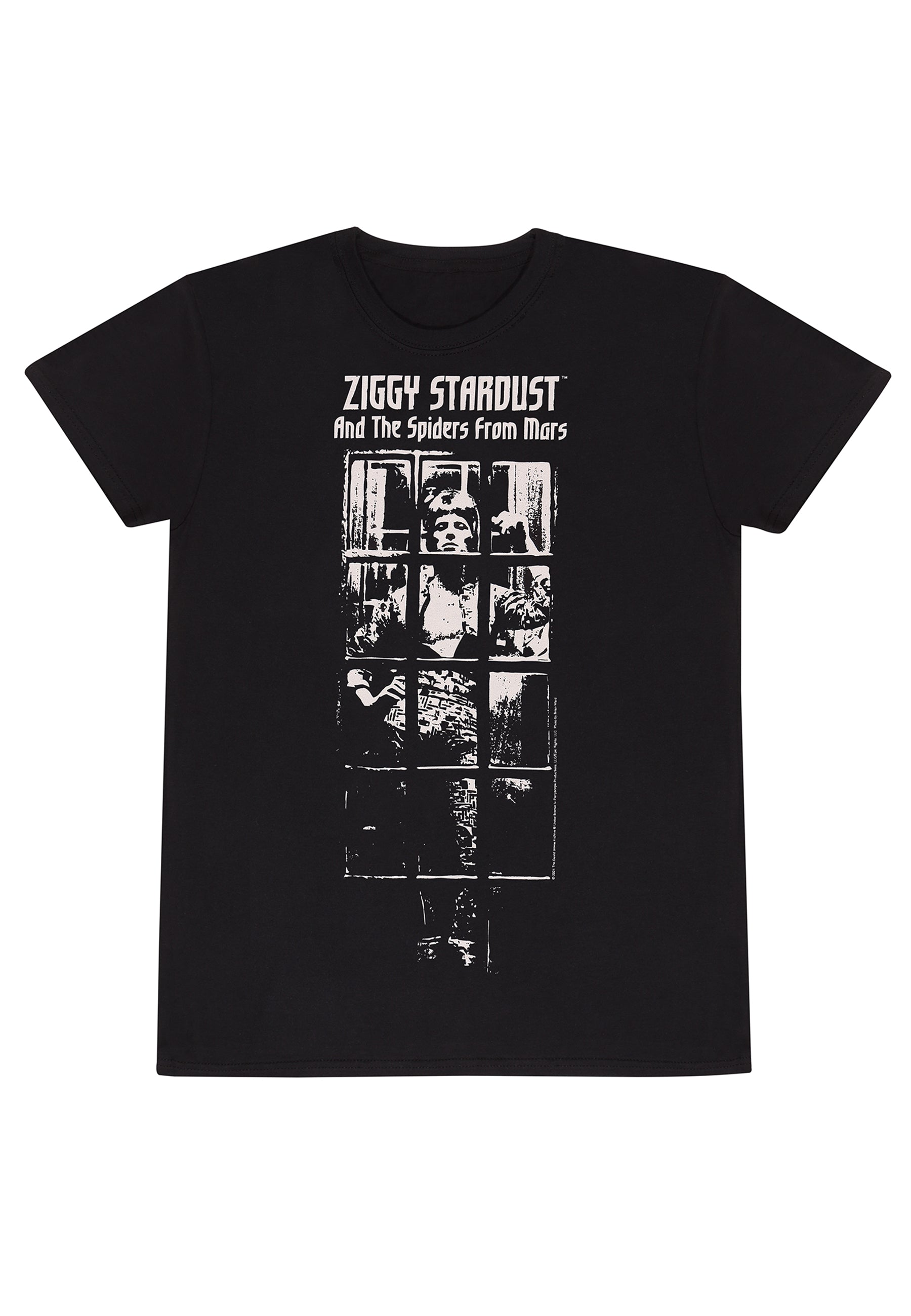 David Bowie-T-Shirt (Ziggy Stardust-T-Shirt)