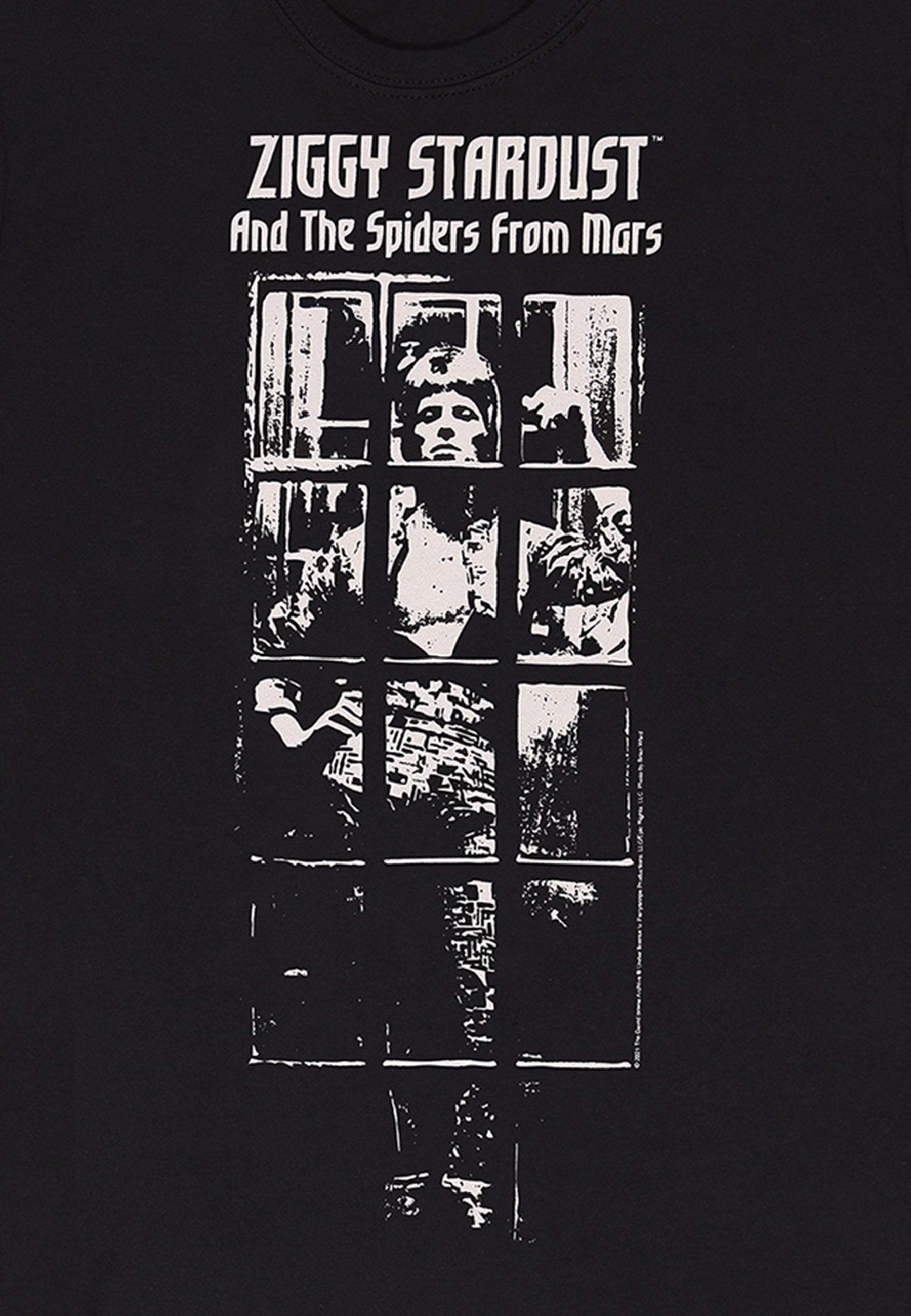 David Bowie-T-Shirt (Ziggy Stardust-T-Shirt)