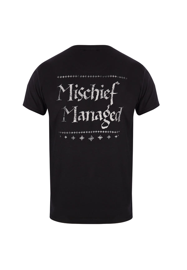 Harry-Potter-T-Shirt zum feierlichen Schwören (T-Shirt zum feierlichen Schwören)