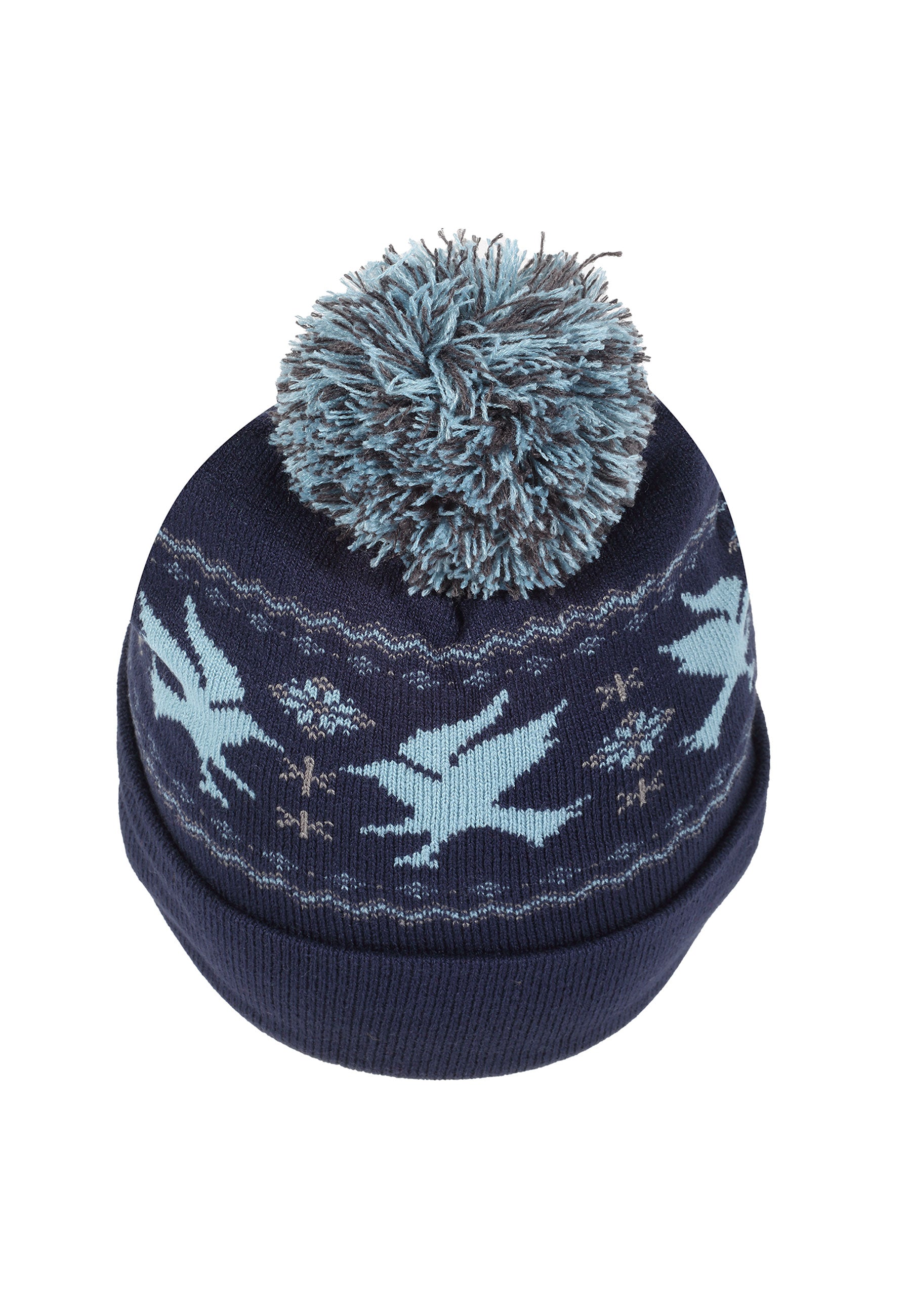 Harry Potter Čepice Unisex (Ravenclaw)