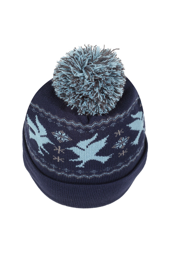 Harry Potter Čepice Unisex (Ravenclaw)