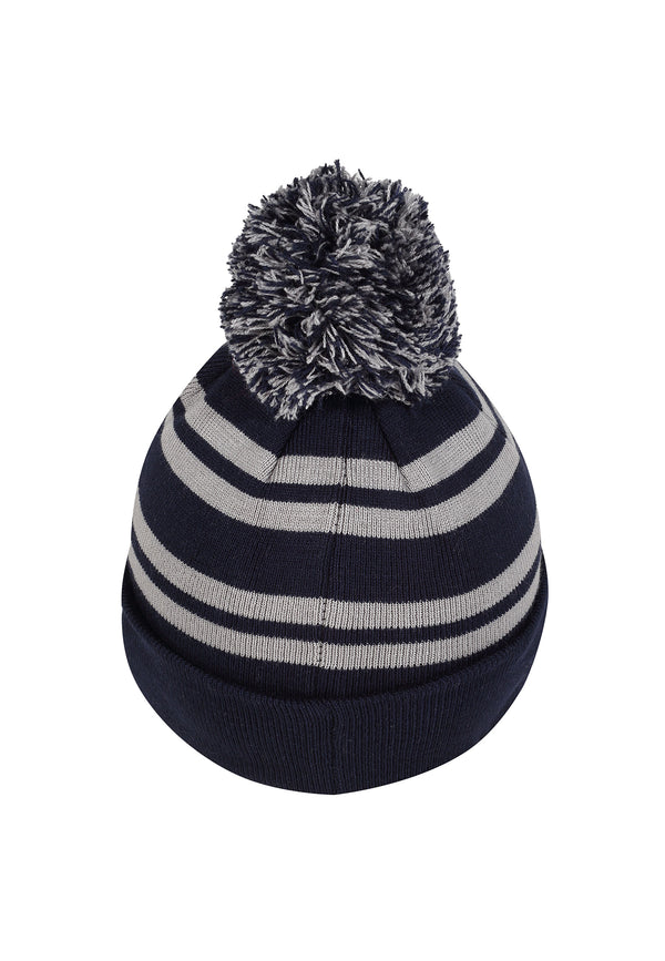 Harry Potter Čepice Unisex (House Ravenclaw)