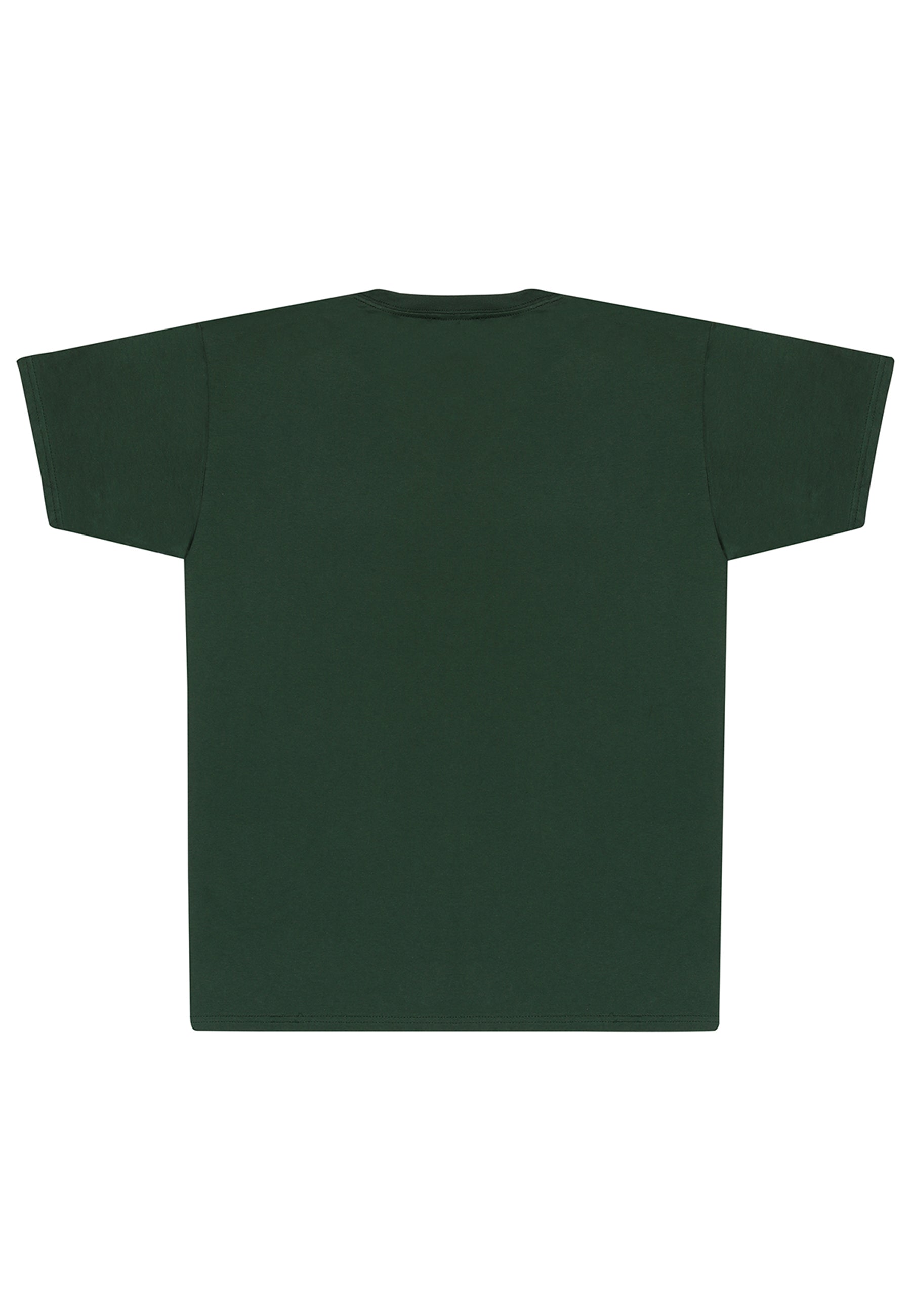 Legende über Zelda Link T-Shirt (Legende von Zelda-Link Pose T-Shirt)